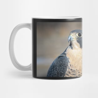 Peregrine Falcon Mug